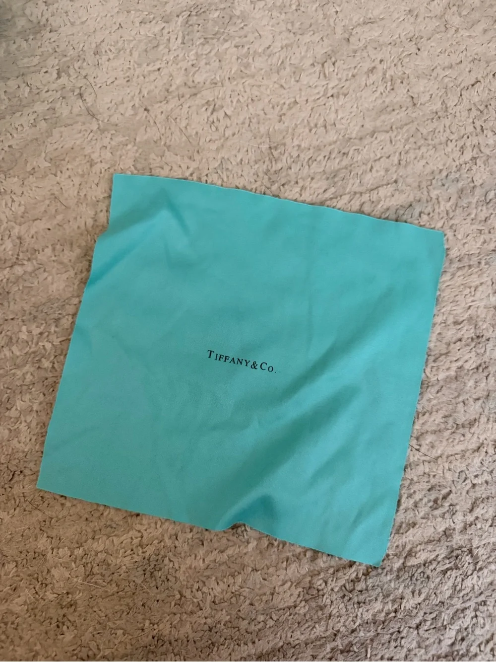 Tiffany & Co. Eyewear Case in Tiffany Blue